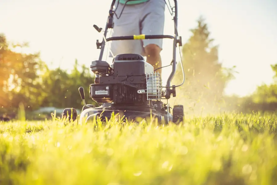 Lawn mower cutting green grass